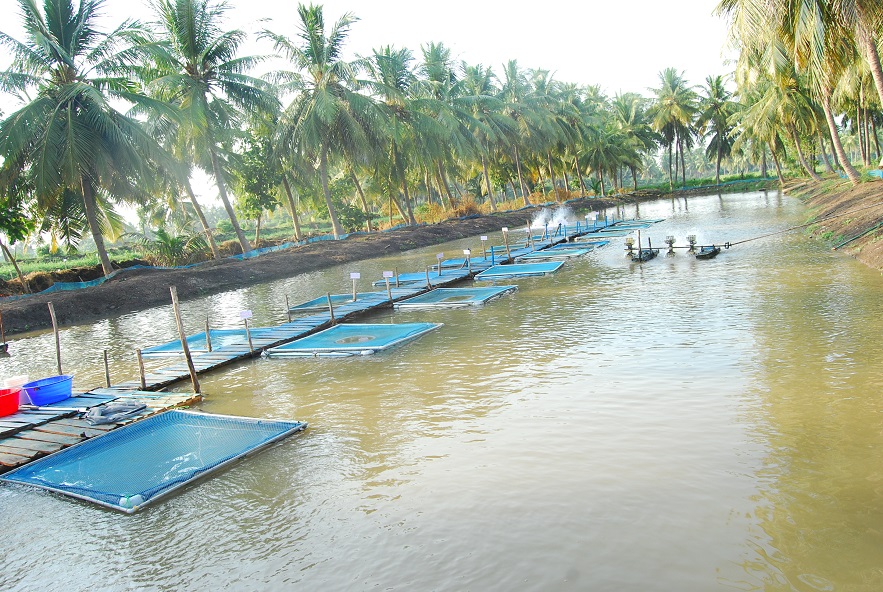Pond area (in Ha) under Inland aquaculture