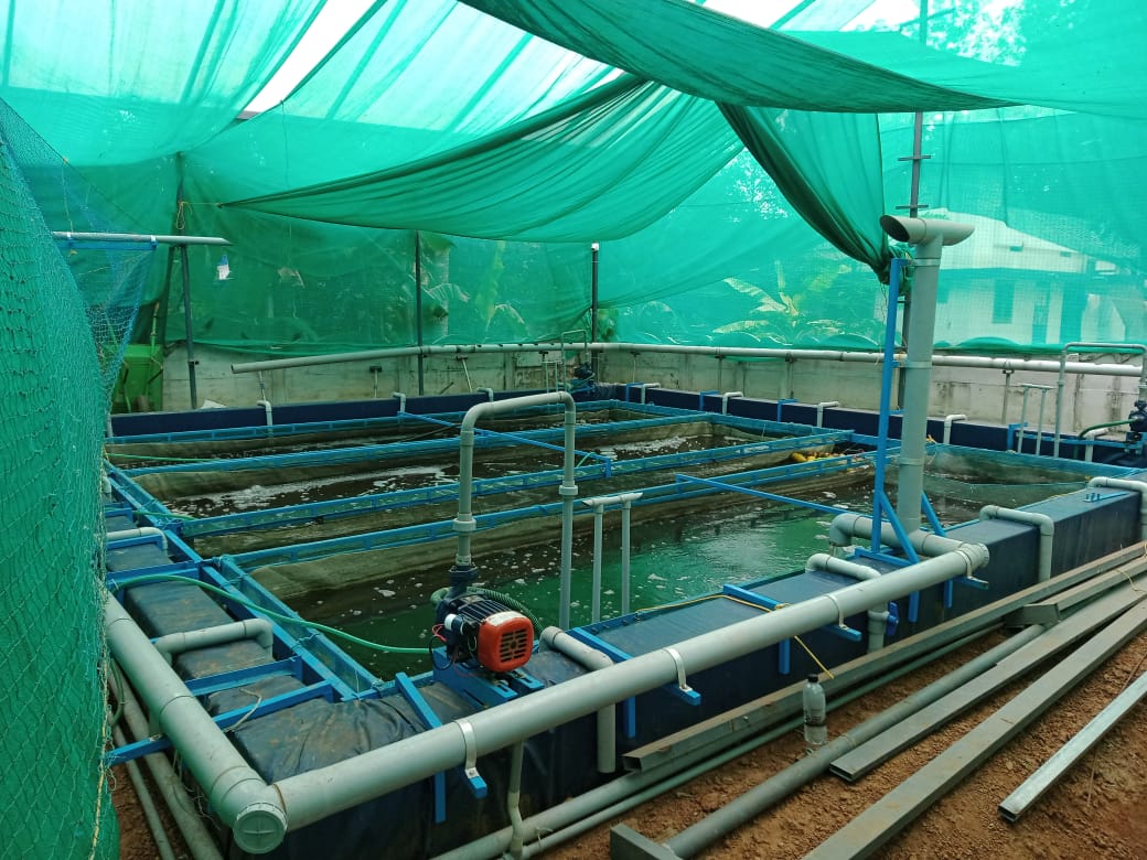 Re-circulatory Aquaculture Systems (RAS)