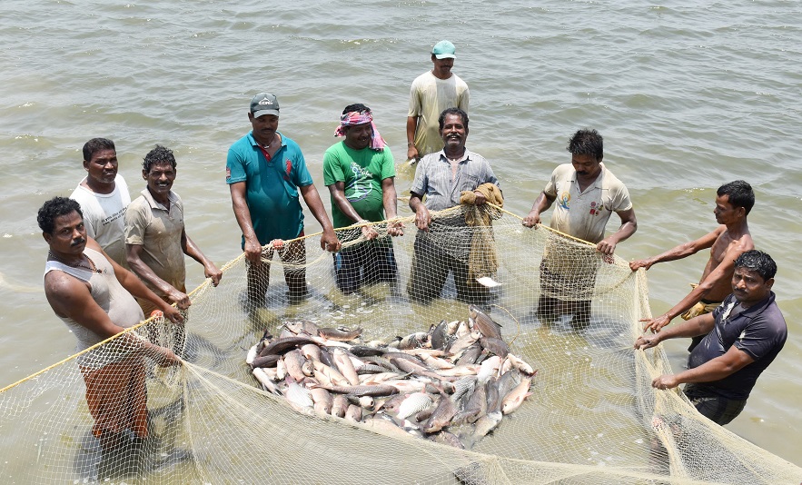 Fish Farmers Producers Organizations (FFPOs)