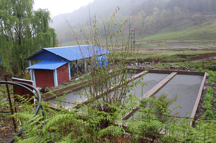 Fish/Prawn hatcheries